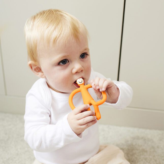 arbre de dentition animal singe allumette